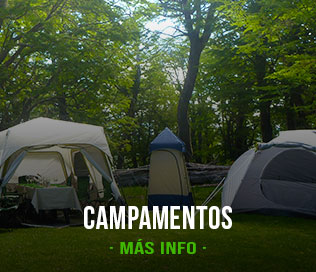 Campamentos - Rienda Suelta